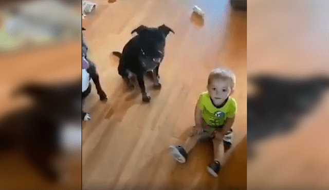 En Facebook, un pequeño trató de copiar los singulares movimientos que realizaron sus perros al escuchar a su madre.