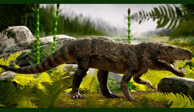Hallan una extraña especie de dinosaurio en Brasil [FOTOS]