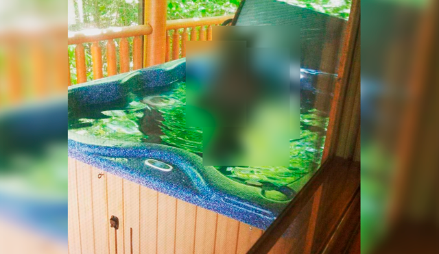 Facebook viral: Novios descubren gigantesca criatura bañándose en su jacuzzi y quedan en shock [VIDEO]