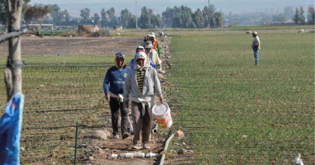 Arequipa: Capacitan a productores para postular a becas nacionales e internacionales