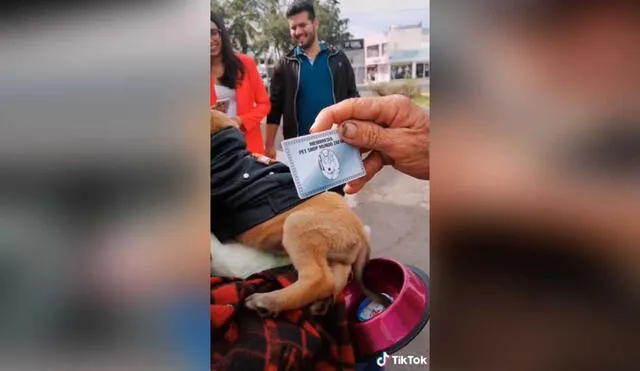 Desliza las imágenes para conocer un poco más sobre este anciano y su pequeña mascota. Foto: captura de TikTok/Chemanimals