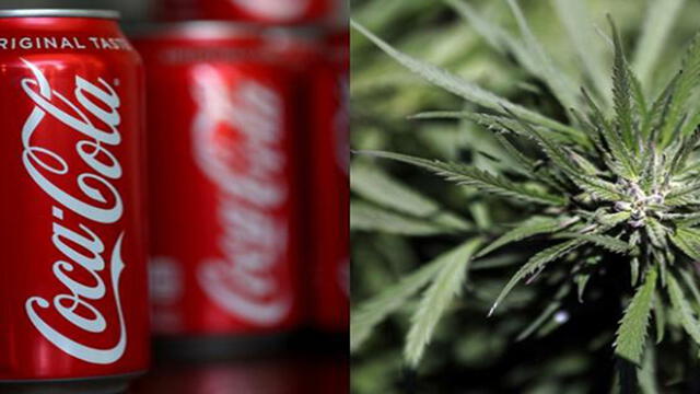 ¿Gaseosas con cannabis? Coca-Cola evalúa añadir compuesto a sus bebidas