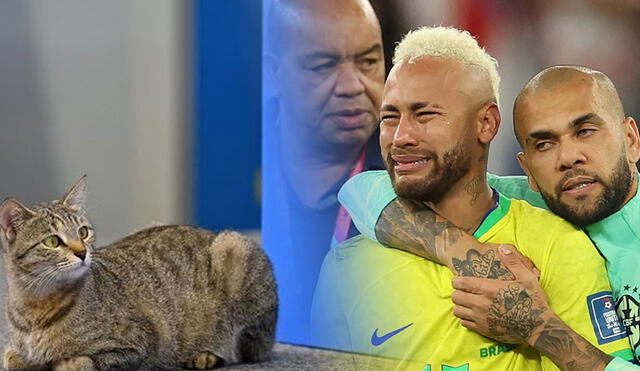 La última vez que Brasil ganó la Copa del Mundo fue en el 2002. Foto: composición LR/AFP/Twitter