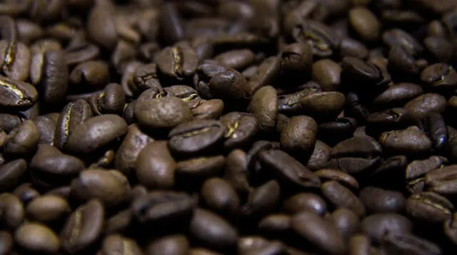 Junín: importadores de India y Rusia interesados en café peruano