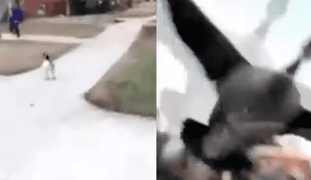 Facebook Viral: Joven sufre ataque de pato furioso en plena calle [VIDEO]