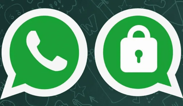 Conoce cómo activar las opciones más altas de privacidad en tu cuenta de WhatsApp. Imagen: MuyComputer.