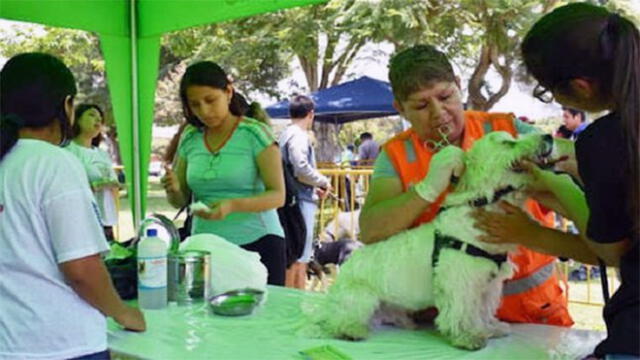 Campaña veterinaria. Foto: Archivo.