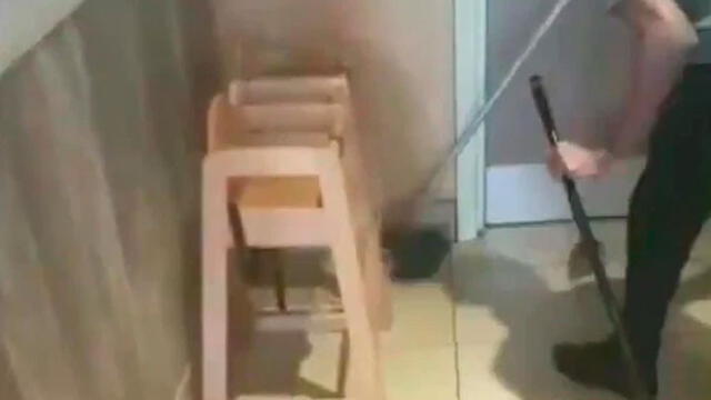 Trabajador de KFC busca roedor para matarlo. Foto: captura de video.