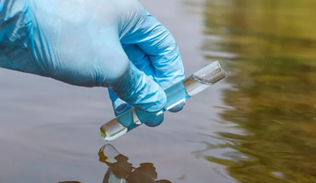 Hallaron rastros del coronavirus en aguas residuales de una ciudad de Países Bajos. Foto referencial.