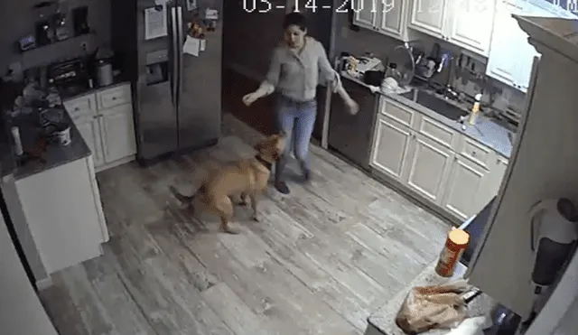 Video es viral en Facebook. El joven jamás imaginó que descubriría el secreto mejor guardado de su novia y perro, luego de revisar los videos de vigilancia.