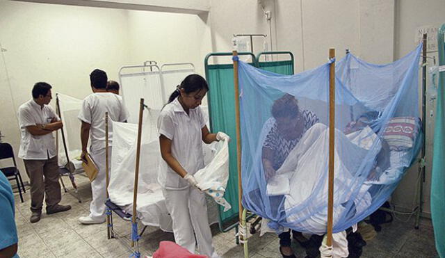 A 31 aumenta la cifra de muertos por dengue en Piura
