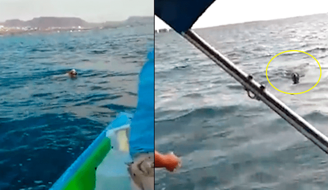 Facebook: pescadores de México salvan a perro de morir ahogado en el mar