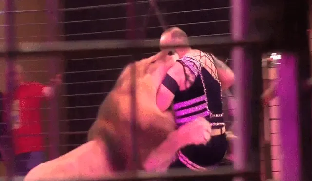 León se rebela contra su domador y lo ataca en plena función de circo [VIDEO]