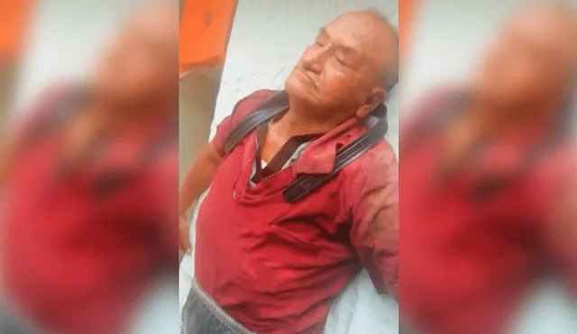 Chiclayo: anciano queda postrado tras ser atacado por abejas [VIDEO]