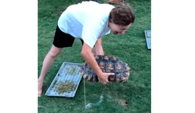 YouTube viral: Chica carga a su enorme criatura y esta le orina encima [VIDEO]