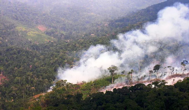 La deforestación, los incendios y la minería ilegal han aumentado en los últimos ocho años.