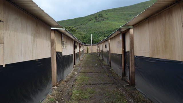 El 20% de módulos de vivienda habrían sido alquilado a terceros. Foto: Andina