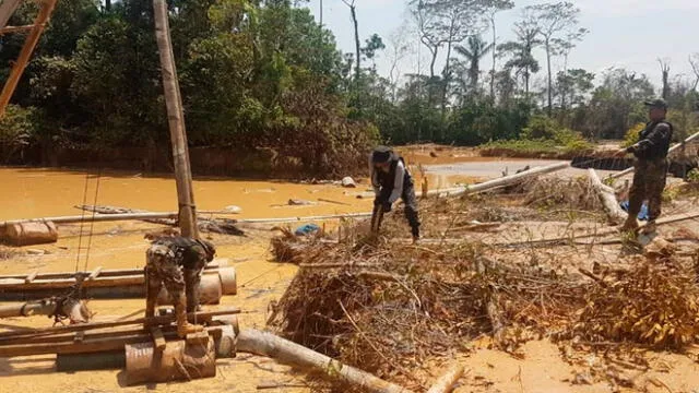 Hallan campamento minero en zona de amortiguamiento de Reserva Nacional de Tambopata, en Madre de Dios. Créditos: Difusión.