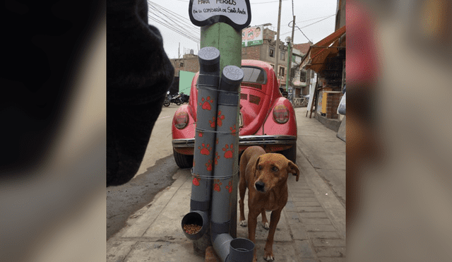 Facebook: estudiantes lanzan iniciativa para alimentar a perros callejeros junto a la PNP [FOTOS]