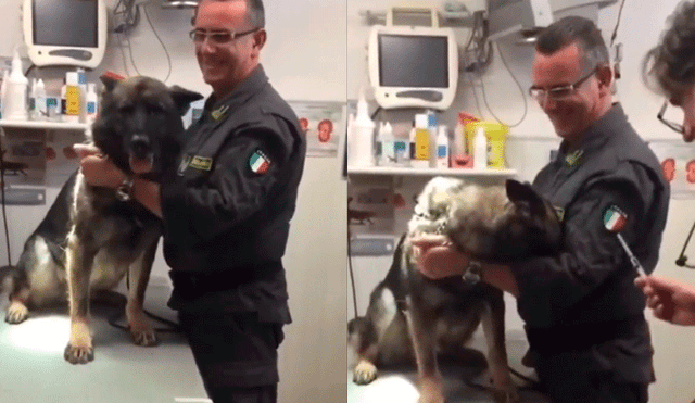 Facebook viral: perro militar ve a veterinario con una inyección y tiene tierna reacción [VIDEO] 
