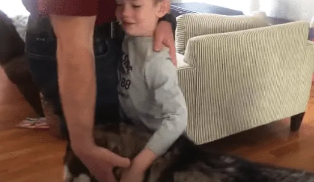 Video es viral en TikTok. El can vio que su dueño estaba abrazando a su hijo antes de irse a trabajar y tuvo una graciosa reacción para que lo incluyan.