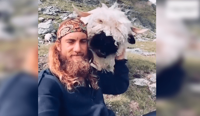 En YouTube, un joven daba un paseo por los campos de Suiza y encontró un enorme animal peludo.