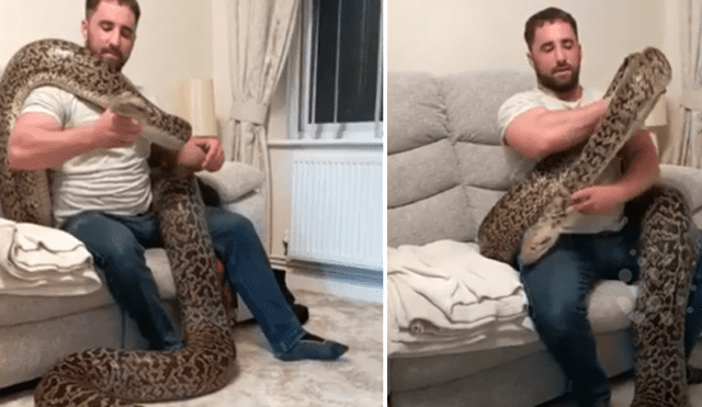 Un hombre causó terror en Facebook al compartir un video, donde aparece cargando a una peligrosa serpiente.