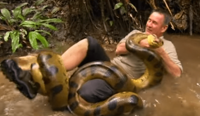 YouTube viral: valiente hombre arriesga su vida al ingresar a lago para ‘bañarse’ con anaconda [VIDEO]