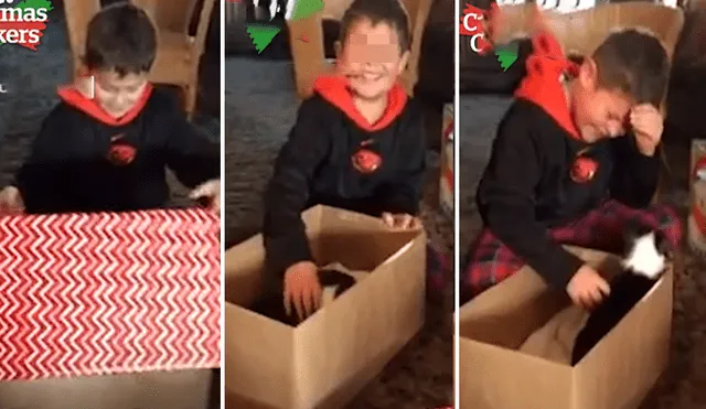 Desliza hacia la izquierda para ver la reacción que tuvo un niño al encontrar un perro dentro de una caja de regalo. El video es viral en Facebook.