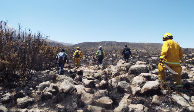 Arequipa: Especialistas del Ministerio de Agricultura evalúan terribles daños causados por incendio forestal