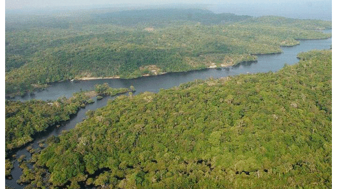 El entidad encargada de realizar el monitoreo satelital del Amazonas en Brasil es el Inpe. Foto:Marcelo Sayão/EFE/Referencial