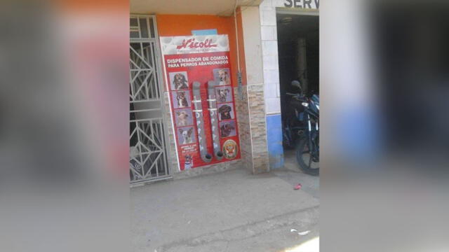 Colocan dispensador de comida para perros abandonados en Chiclayo