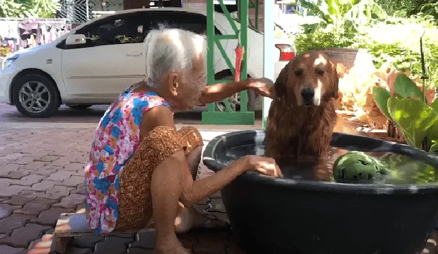 Desliza las imágenes para ver más detalles de esta tierna escena que es viral en YouTube.