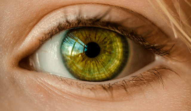 La retinopatía se presenta en las personas que sufren diabetes.