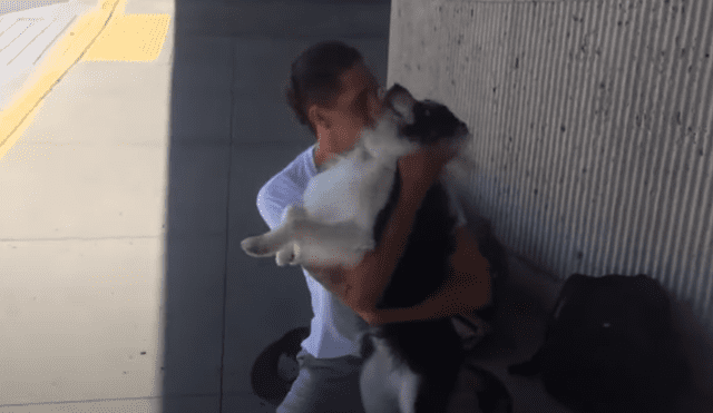 En YouTube se hizo viral el conmovedor reencuentro entre un perro y su dueño.