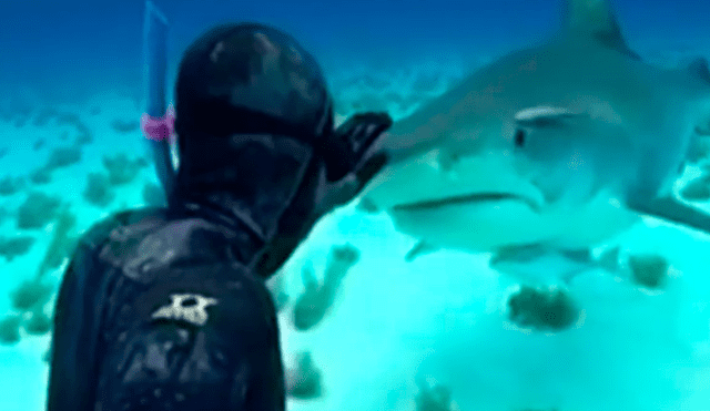 YouTube: feroz tiburón acorrala a buzo sin protección y deja en shock a miles [VIDEO]