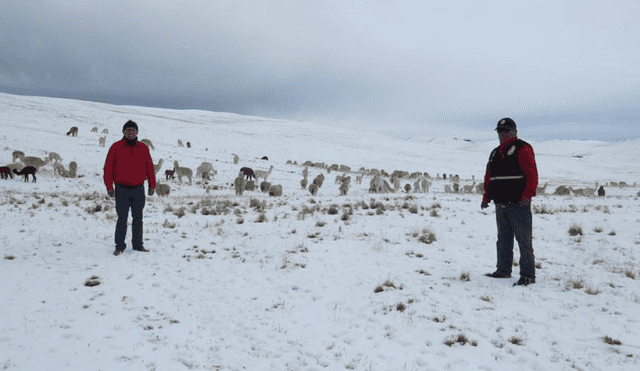 Senamhi alerta nevadas y granizadas en la sierra 