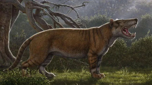 Hallan restos de uno de los mamíferos más grandes que pisó la Tierra 