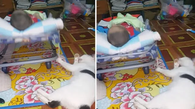 YouTube: gato se vuelve niñero del bebé de su dueña y video enternece a todos