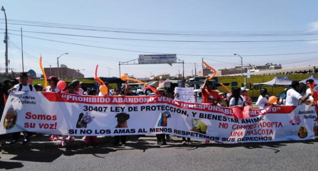 Animalistas protestan contra la venta y maltrato animal en Tacna [VIDEO]