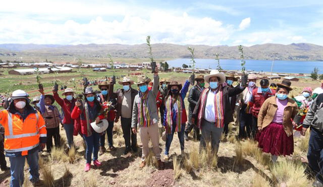 La meta es plantar 33 millones de árboles en toda la región. Foto: Gobierno Regional del Cusco.