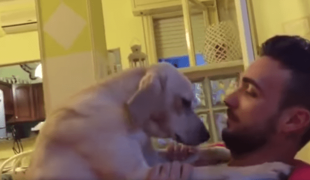 Youtube: el tierno arrepentimiento de un perro que conmoverá a cualquiera
