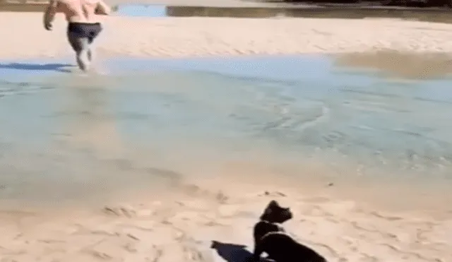 Facebook viral: gato vence su temor al agua y cruza charco para seguir a su amo 