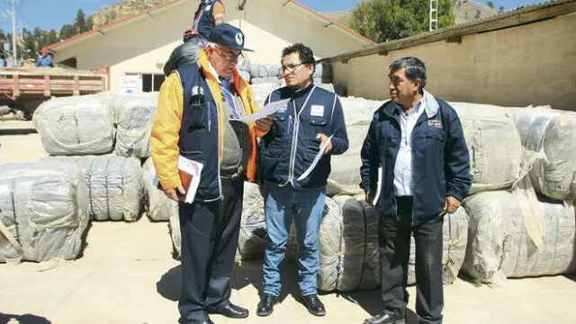 Ola de frío mató a más de 5 mil animales en Puno