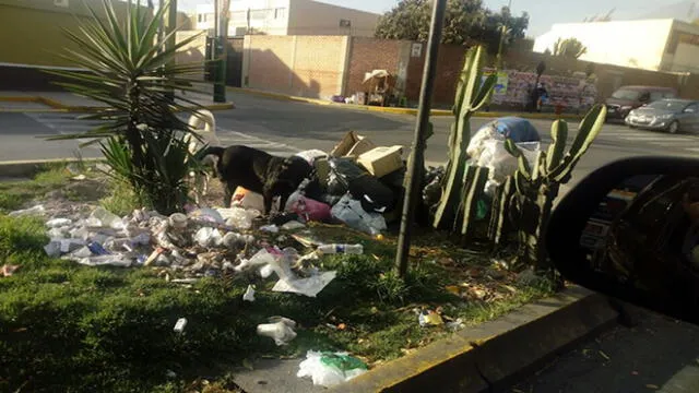 Arequipa: quejas por desmontes de basuras en calles 