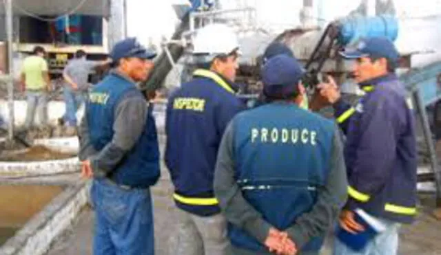   Intervienen cuatro plantas ilegales de harina de pescado en Pisco