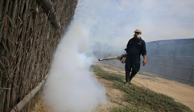 Minsa: Continúa las labores de fumigación en distritos de Piura 
