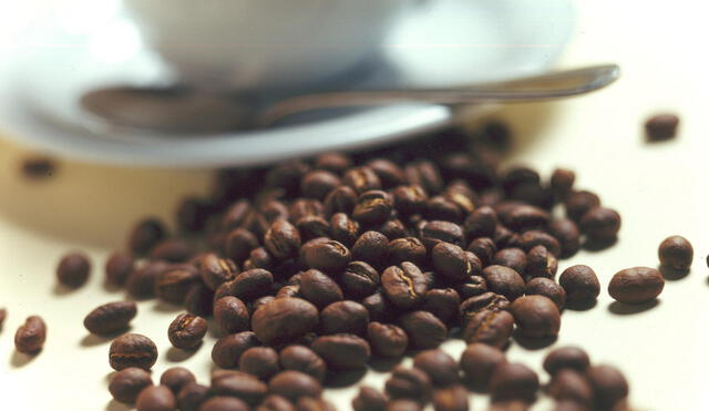 Café peruano busca lograr este año US$ 1.000 mlls en exportaciones