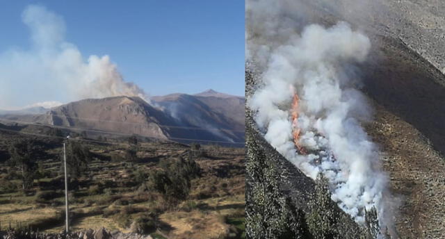 Arequipa: 100 personas intentan sofocar incendio forestal en Castilla