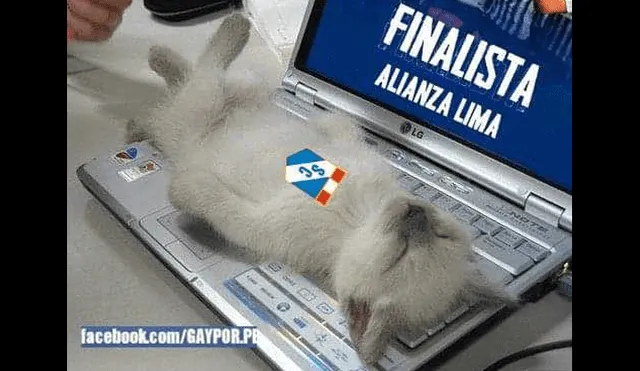 Alianza Lima vs. Sporting Cristal: los hilarantes memes no se hicieron esperar [FOTOS]